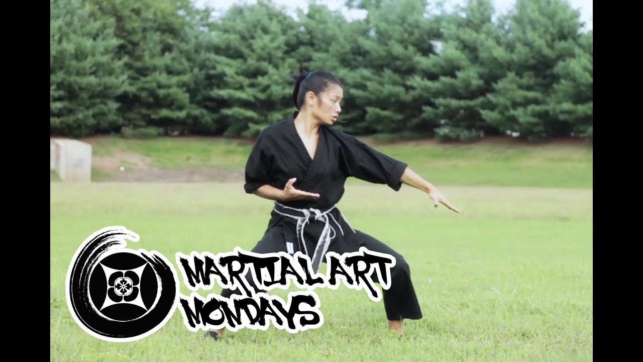 Tang Soo Do Form - Jin Do - Martial Art Monday