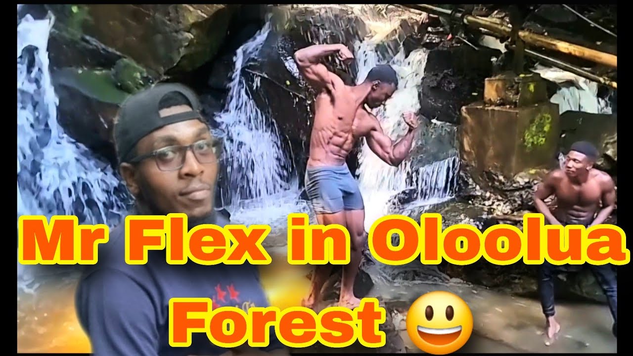 Exploring Oloolua Forest: Hidden Gem in Karen, Nairobi – Nature Trails & Adventure! #travelvlog