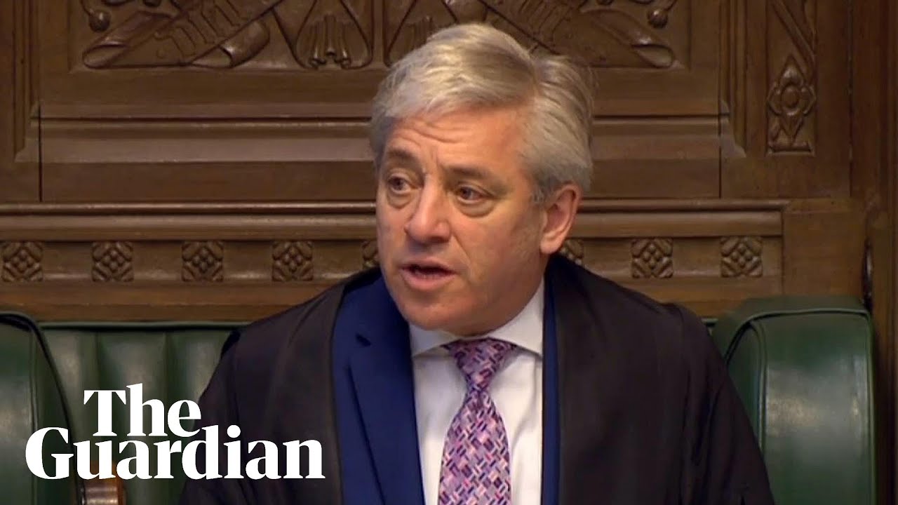 Commons Speaker John Bercow admits using the word 'stupid' in parliament