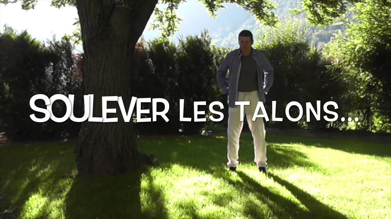 Qigong du dragon et tigre / Dragon and Tiger Qigong