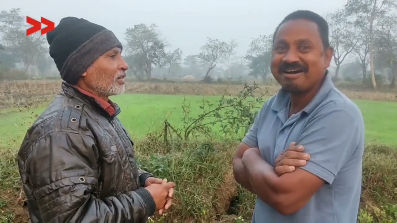 400 शेतकरी वीज कपातीमुळे त्रस्त | Four hundred farmers face crop risk