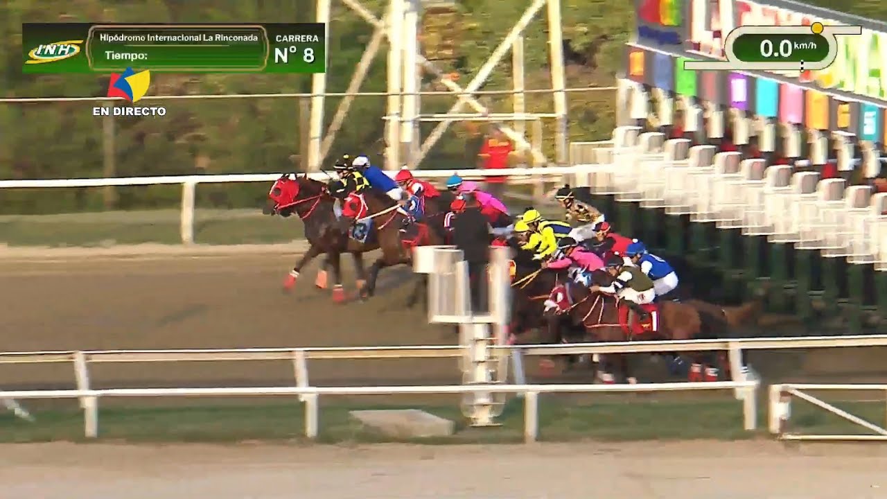 8ª. carrera | 1ª. válida | COPA M.P.P.R.E. | COLOSSUS | Hipódromo La Rinconada | Reunión 48 | 2025