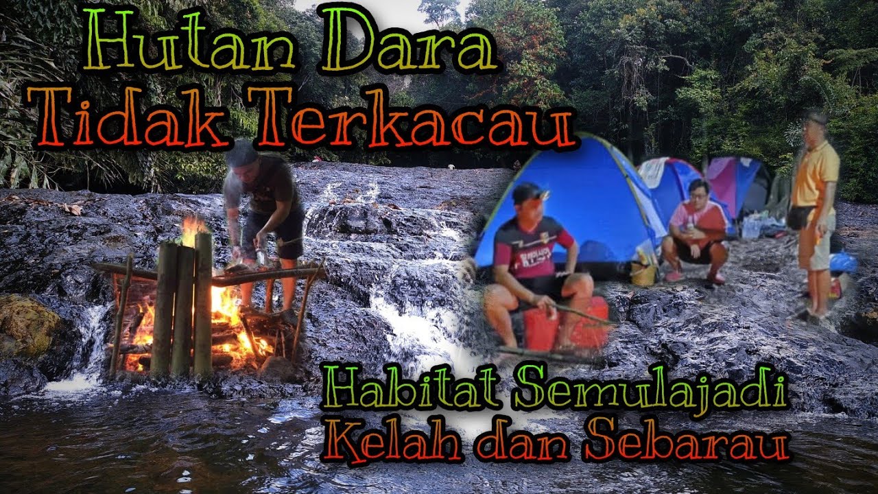 Family Camping at Gunung Tingkar, Centre of Sabah