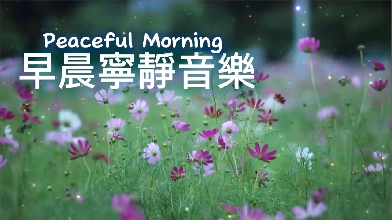 早晨寧靜音樂Peaceful Morning｜在原野上，小花迎風飄揚 ，如晨光初照，生命充滿活力，溫柔寧靜的輕音樂｜#輕音樂 #早晨音樂 #放鬆 #冥想 #睡眠 #softmusic 