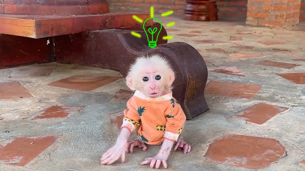 Smart Little Baby Minea Try Thinking To Find The Way Out To Reach Mom