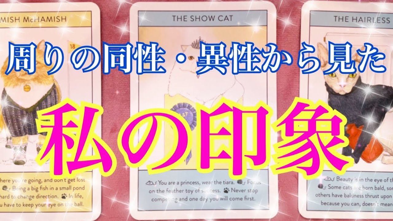 周りの同性・異性から見た私🤴👸周りの人からどう思われている？✨【タロット占い】