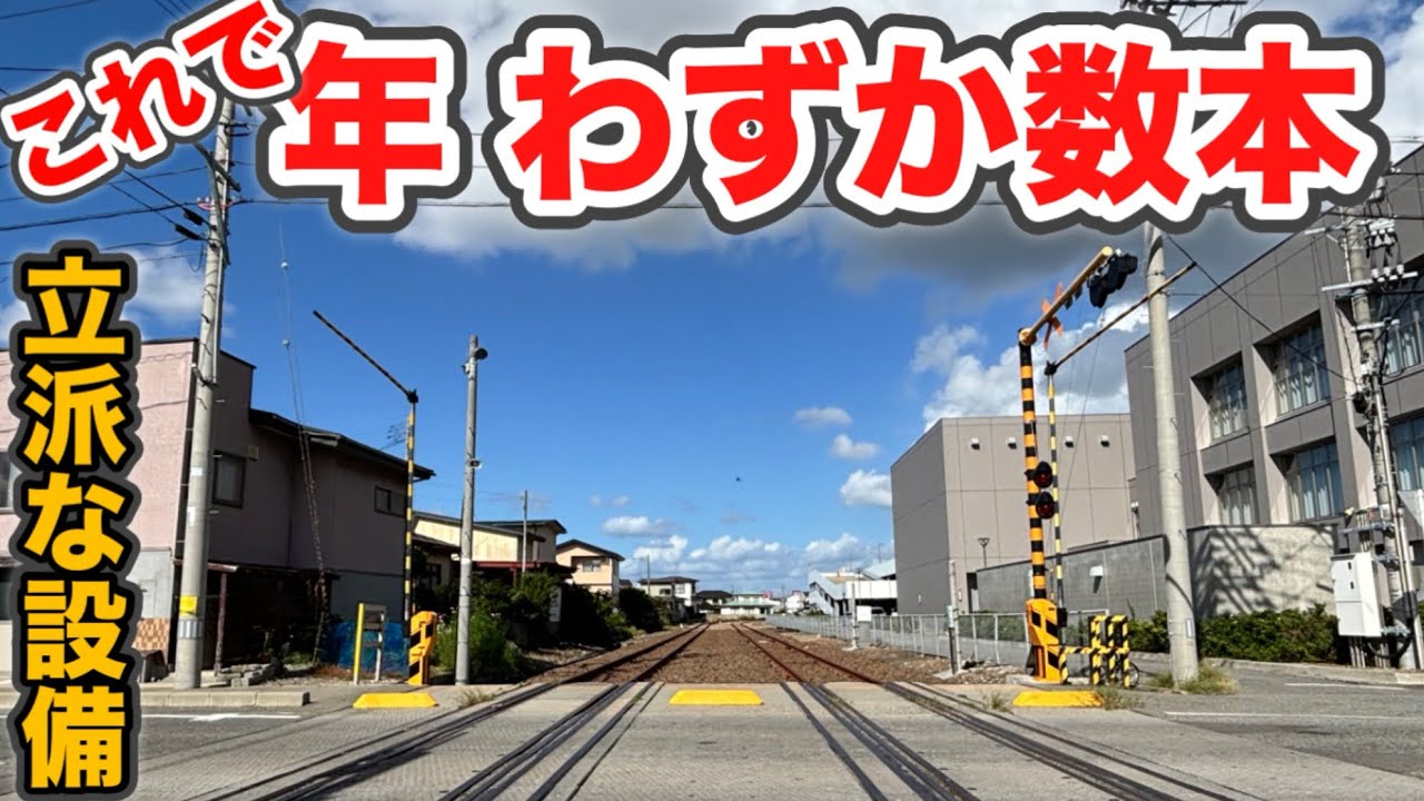 【驚愕】年に数日しか列車が走らない立派な路線