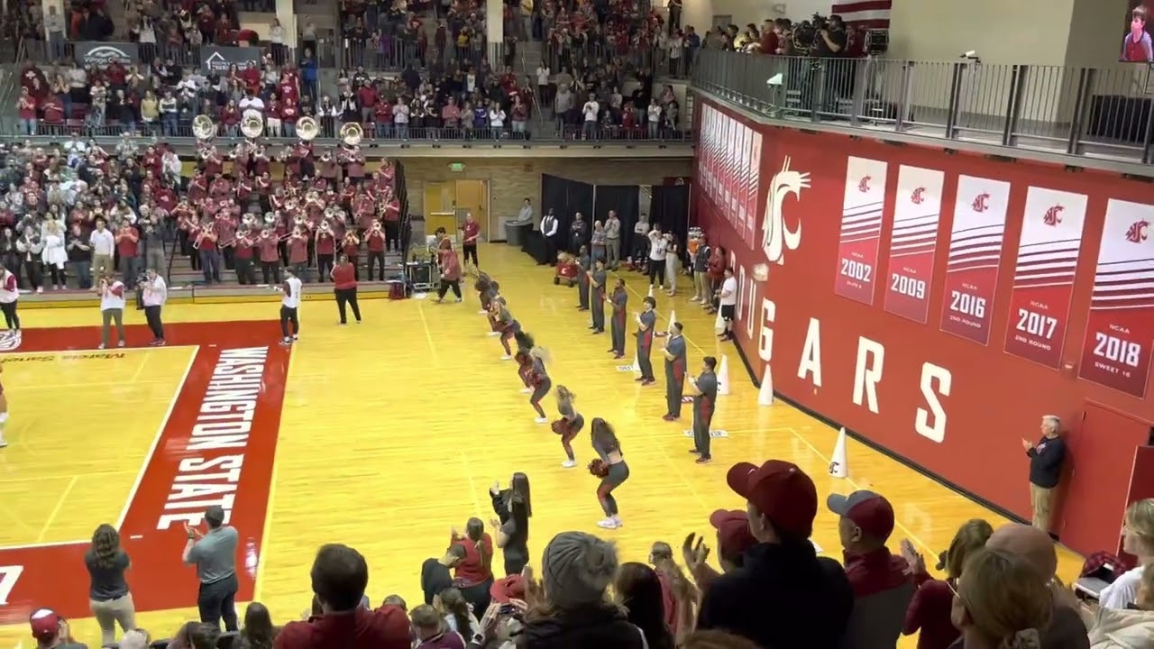 WSU Band and Cheer Fight Sing - Volleyball Apple Cup Win! 2022