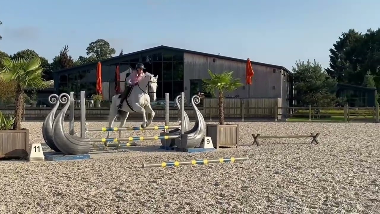 Tuesday Exercise - Simple gymnastics to work on horse flexibility