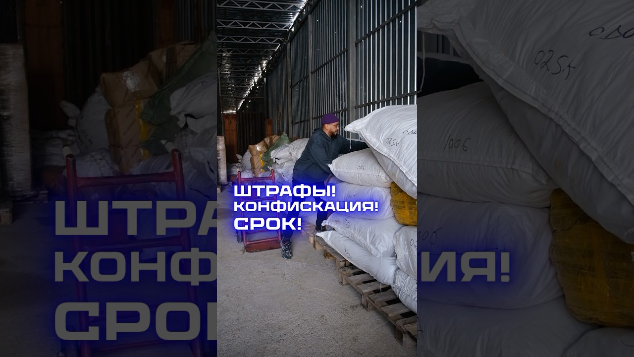 БОТ РАБОТАЕТ В INSTAGRAM! Пишите в inst в комменты ЭКСПРЕСС, если хотите попасть на эфир