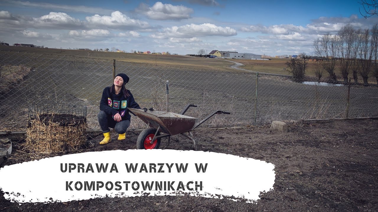 Warzywa na kompostowniku:)