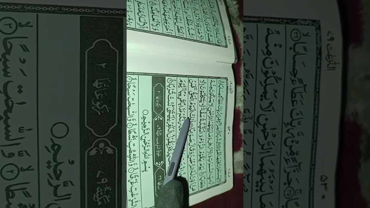 Live highlight #shortvideo  #livequran