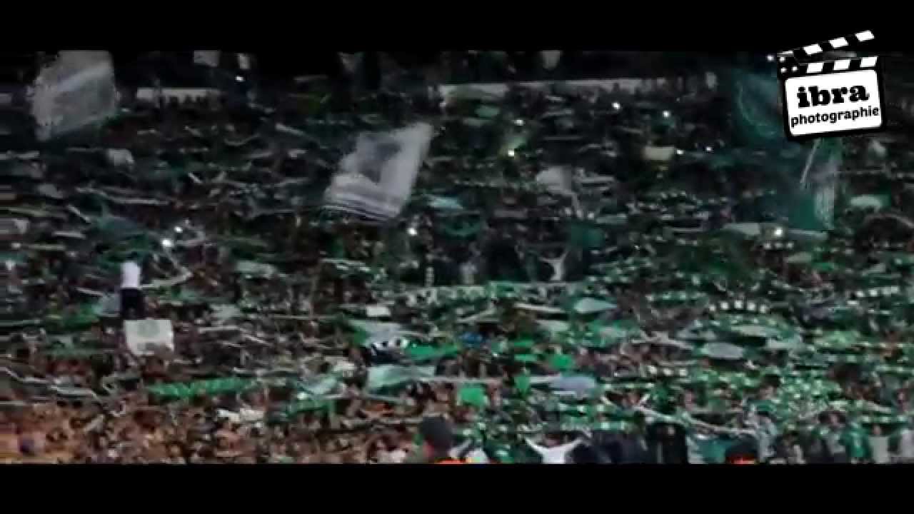 طوال لعمار ولا قصار و لعوصبا غادي نجيبوووها... Magana - Curva Sud