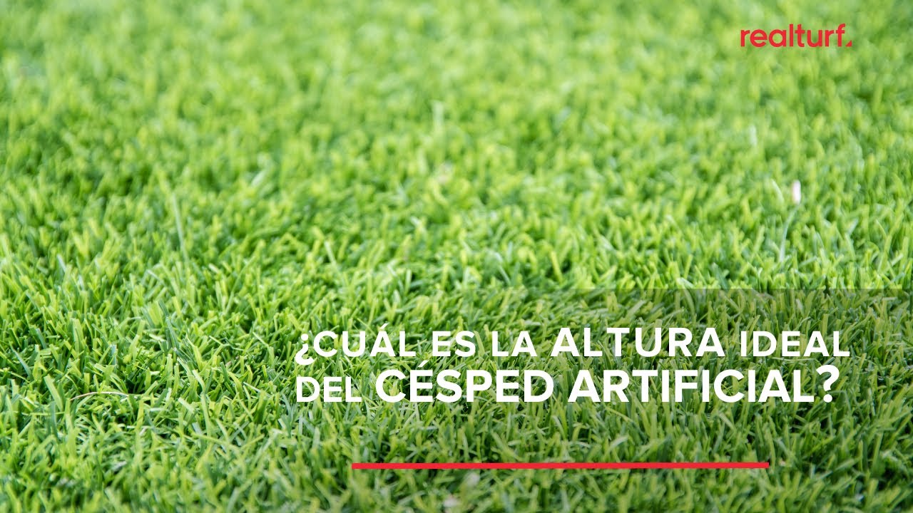&iquest;Cu&aacute;l es la altura ideal del c&eacute;sped artificial? | Realturf