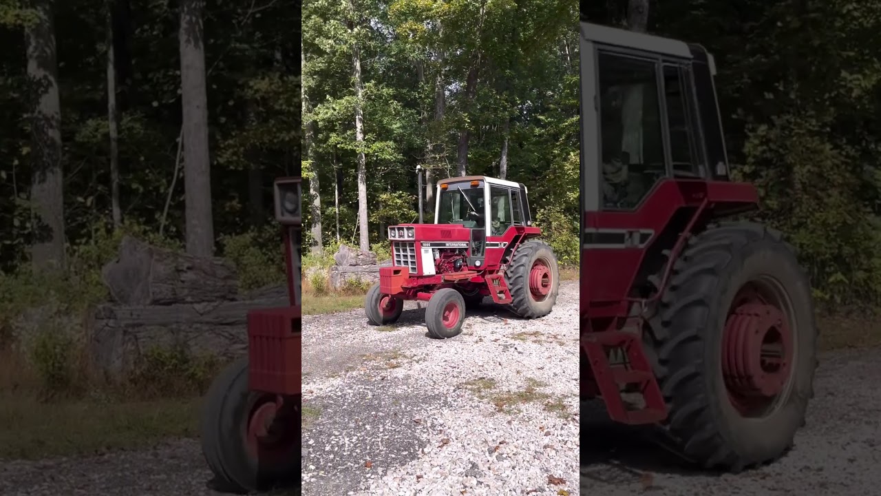 International 1086 #shorts #international #1086 #redpower #tractor