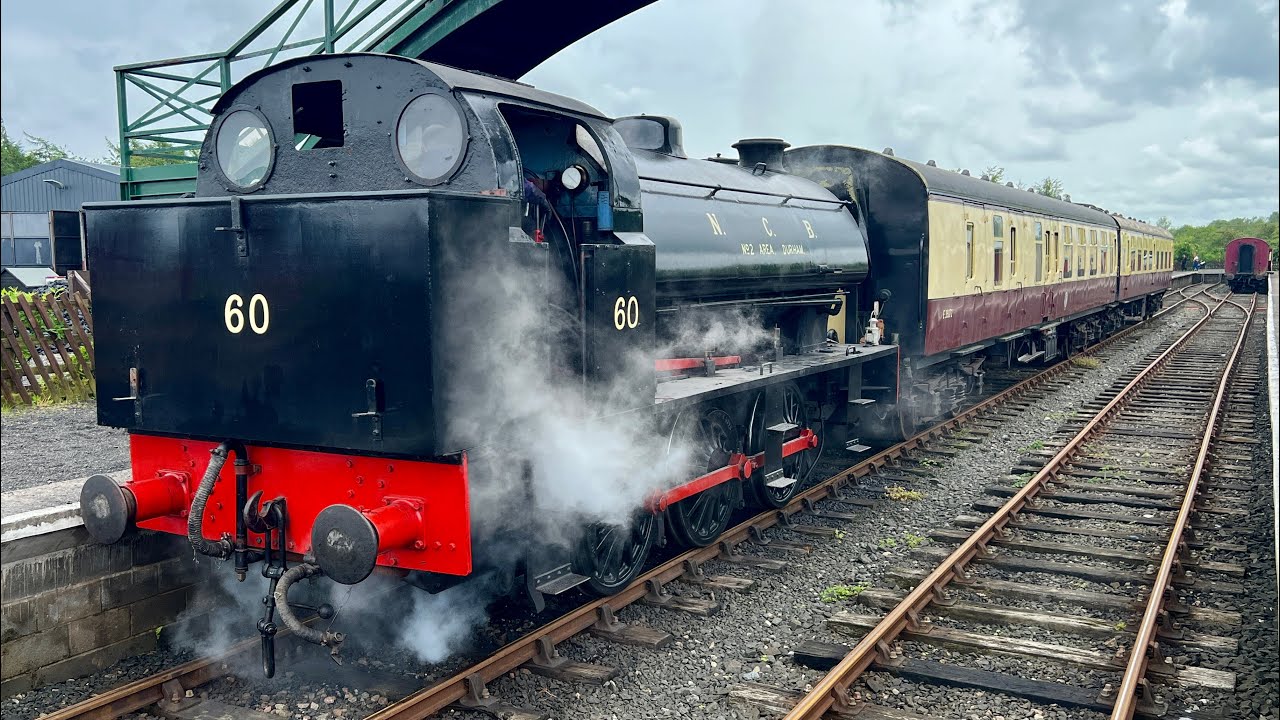 Aln Valley Railway, near Alnwick, with NCB Austerity number 60 running on 26th May 2024