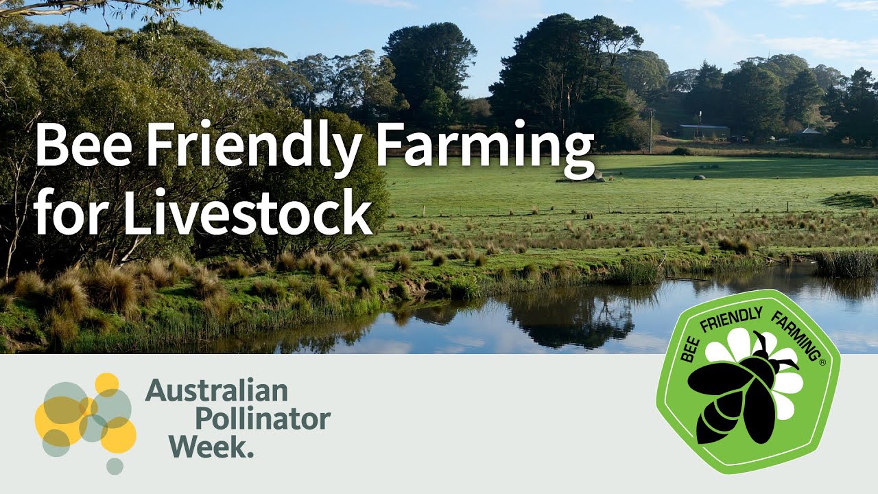 Bee Friendly Farming for Livestock