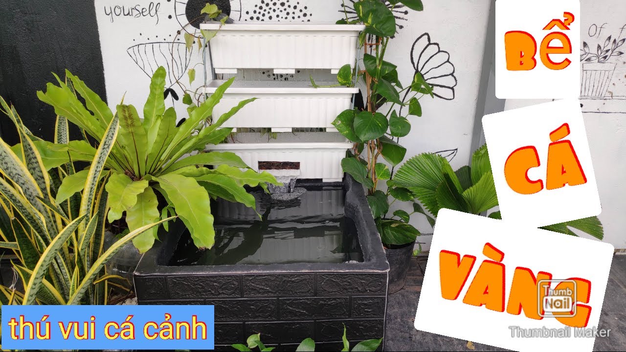 Cách làm bể cá thùng xốp / bể cá koi mini