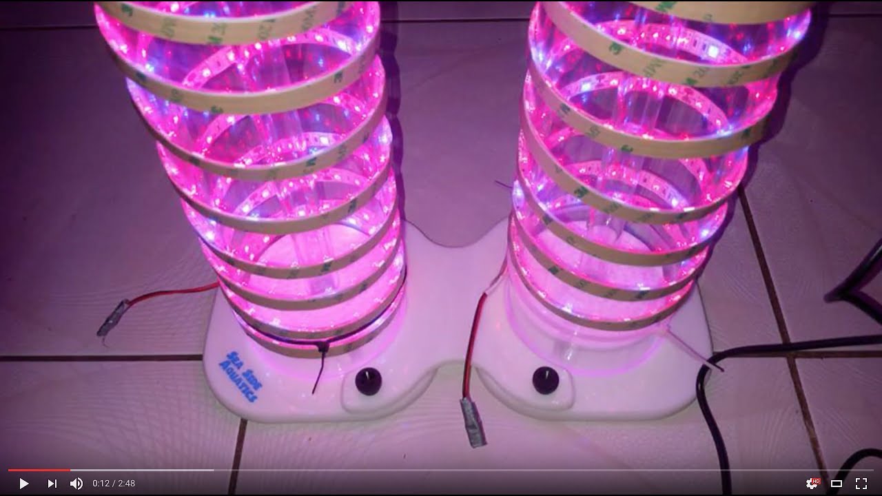 DIY Algae Reactors: A Risky Proposition