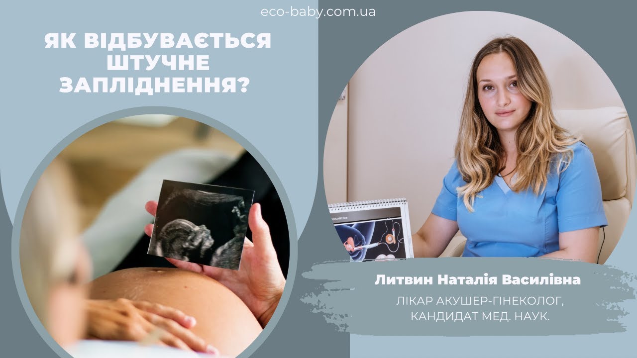 ЯК ВІДБУВАЄТЬСЯ ШТУЧНЕ ЗАПЛІДНЕННЯ. ЕТАПИ ПІДГОТОВКИ