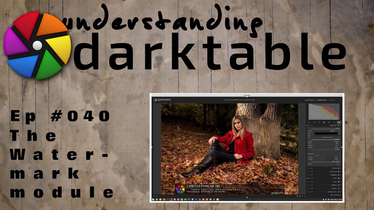 darktable ep 040 - The watermark module