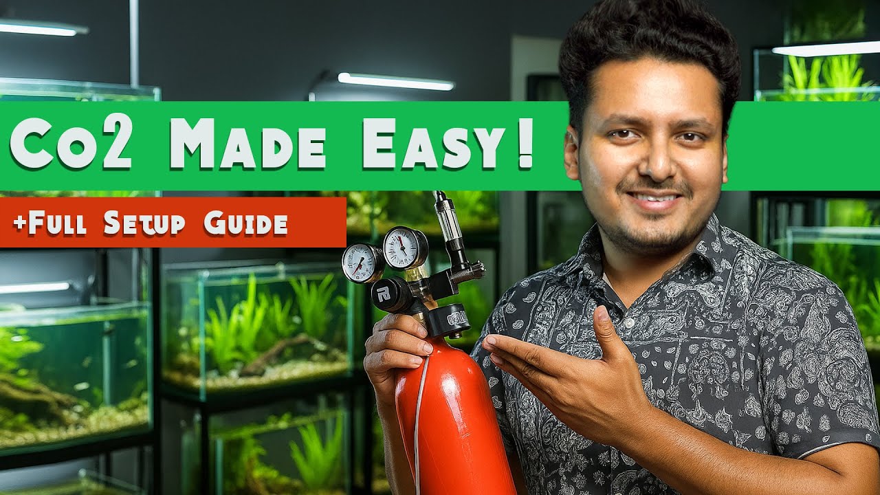Best Co2 Setup For Planted Aquarium | Full Setup Guide |