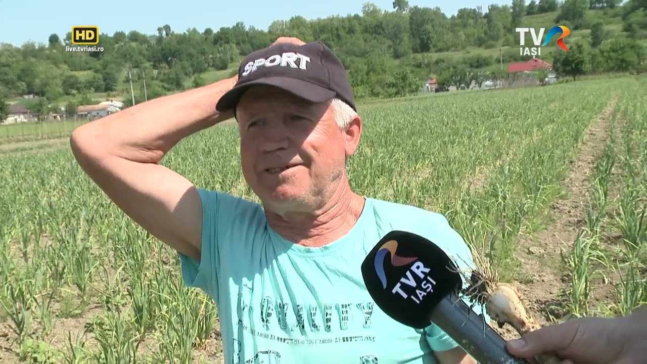 Satul meu - Mistere și lucruri normale în județul Botoșani