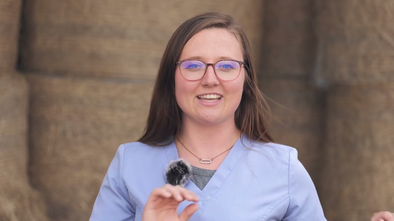 Career Connections: Equine Massage Therapist