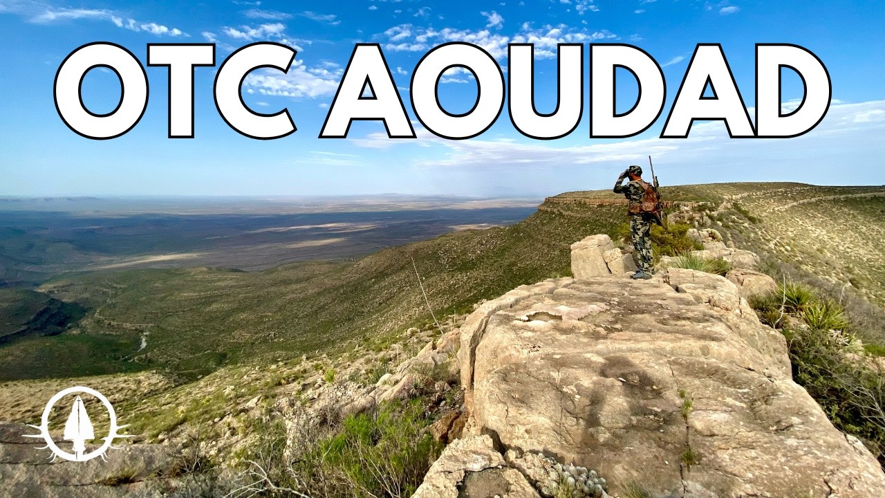 OTC Aoudad Hunt | Моя первая попытка поймать барана!