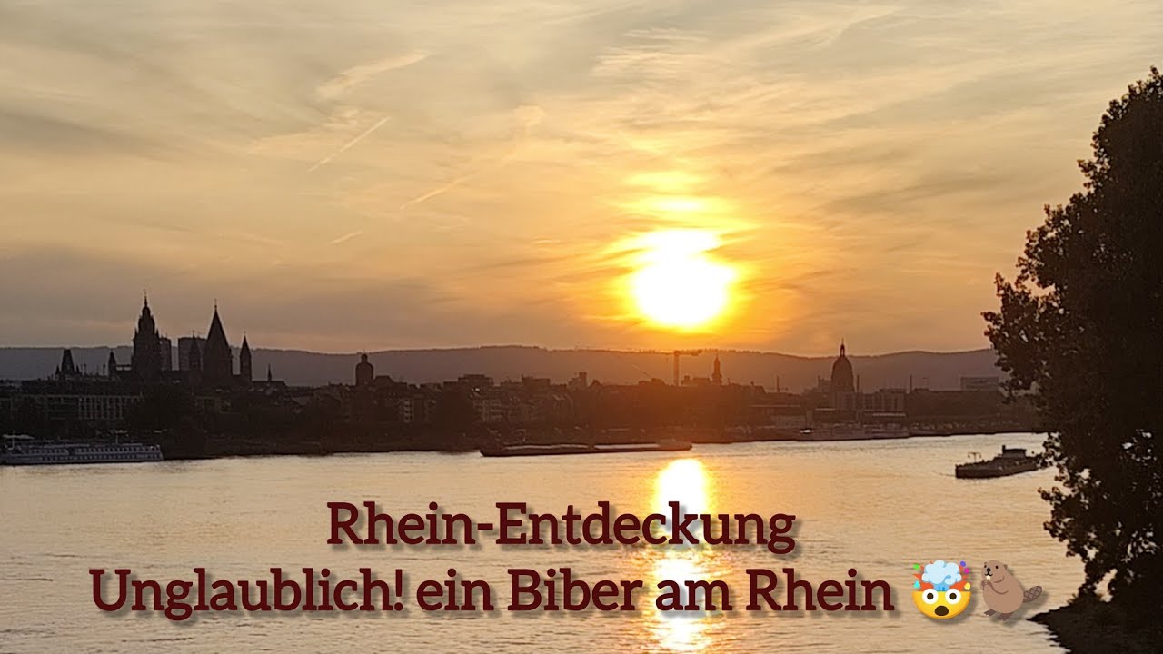 Rhein-Main Rad-Tour… Bike Tour at the Rhine River Germany... Almanya Ren-nehri kenarı bisiklet turu
