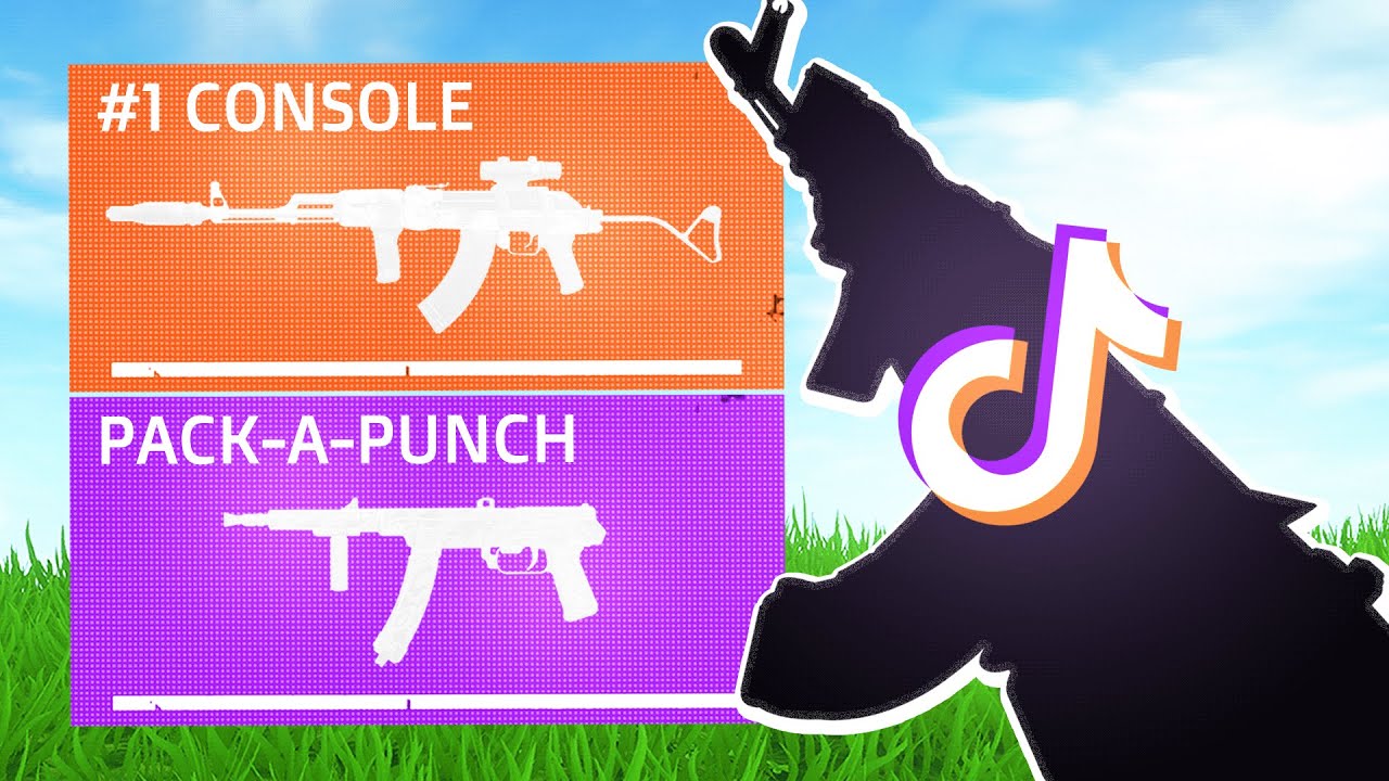 EXPOSING the FAKEST TikTok Meta Loadouts
