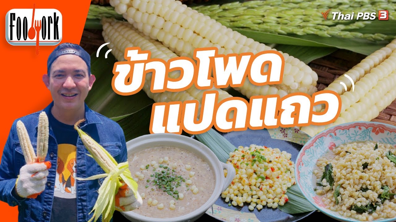 ข้าวโพดแปดแถว | Foodwork [CC]