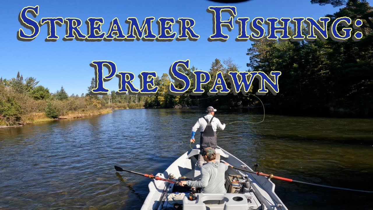 Pre Spawn Brown Trout Streamer Fishing