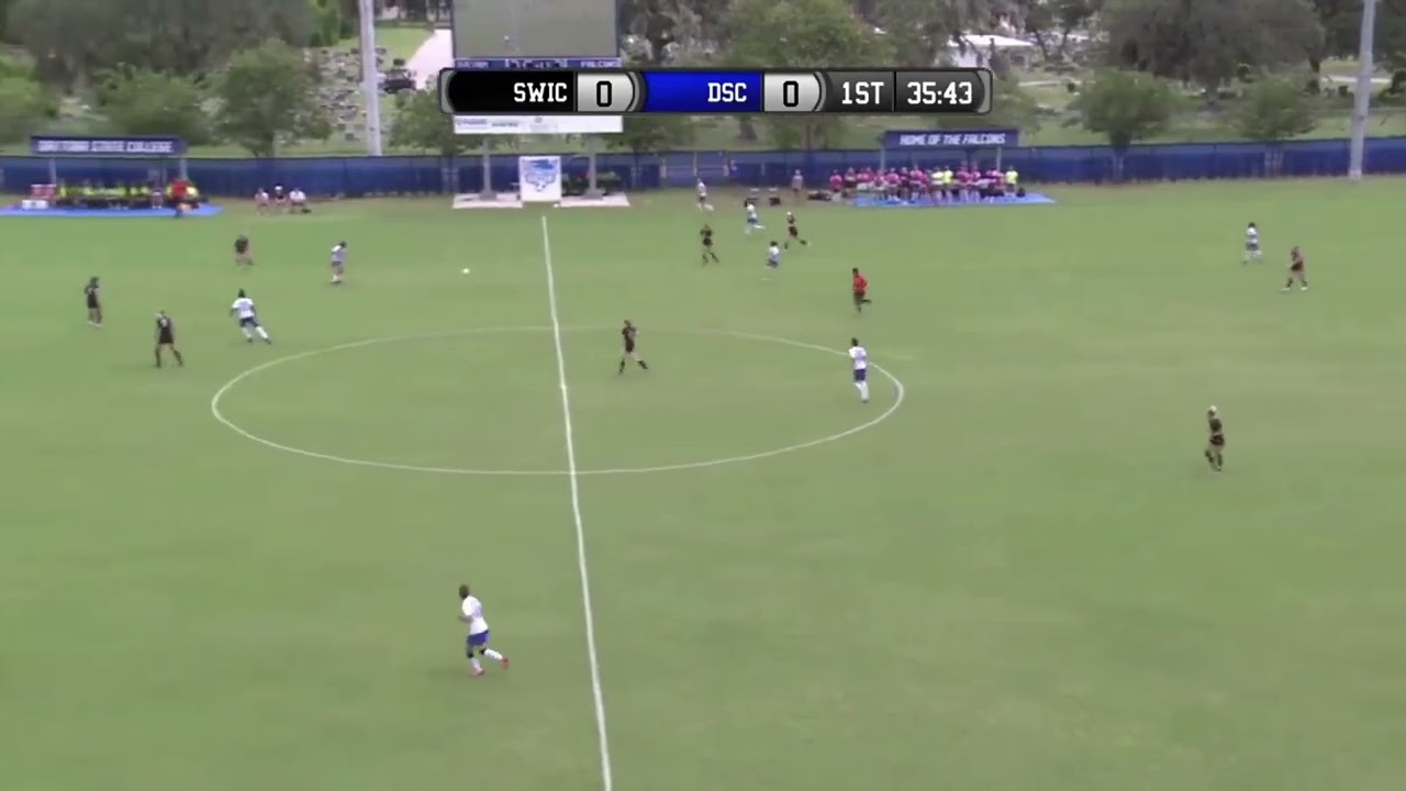DSC highlights 2022 2024