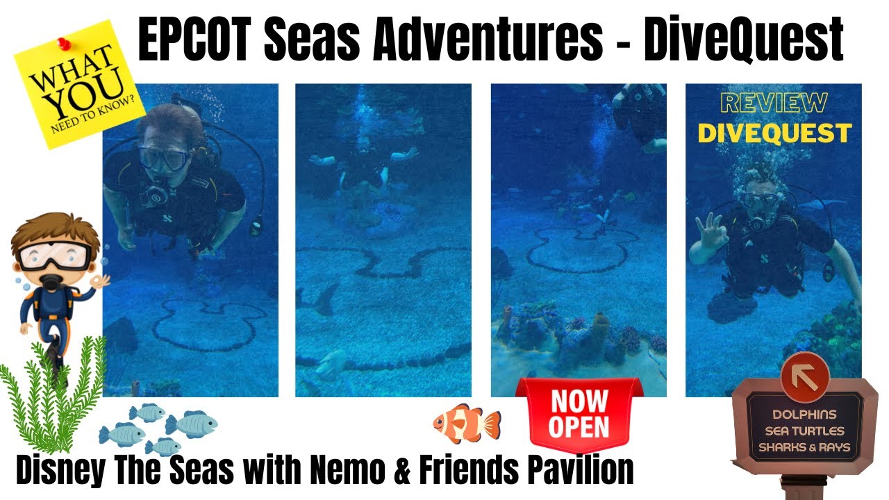 DiveQuest EPCOT Seas Adventures * SCUBA Dive Sharks *Disney the Seas Nemo & Friends * Full Tour VIP