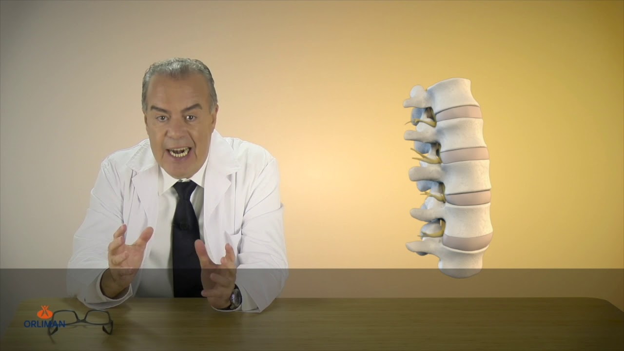 Lower back pain - EVOTEC&reg;