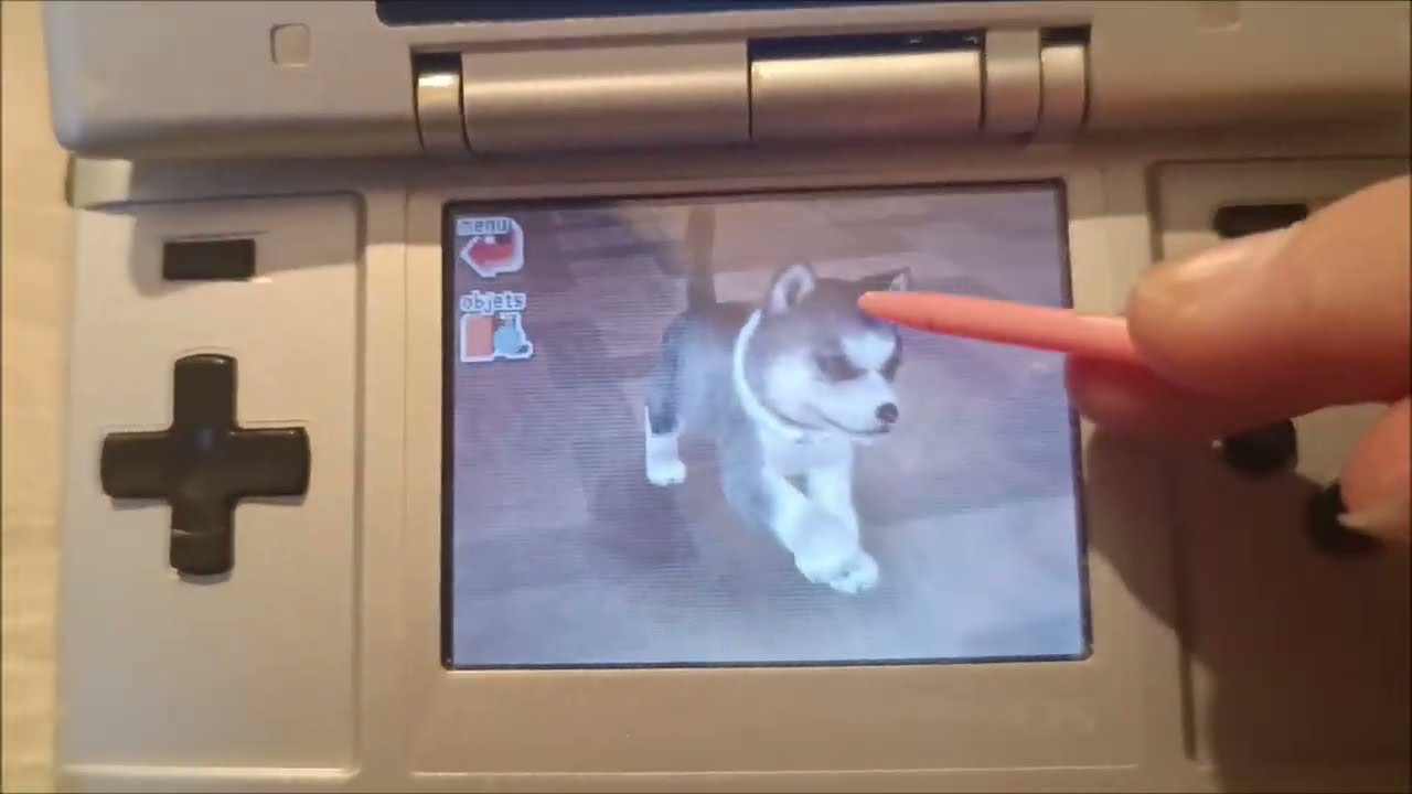 Nintendogs V.C Série 4 ( Comment apprendre le Poirier à sont chiot [ Saisons 43 ]