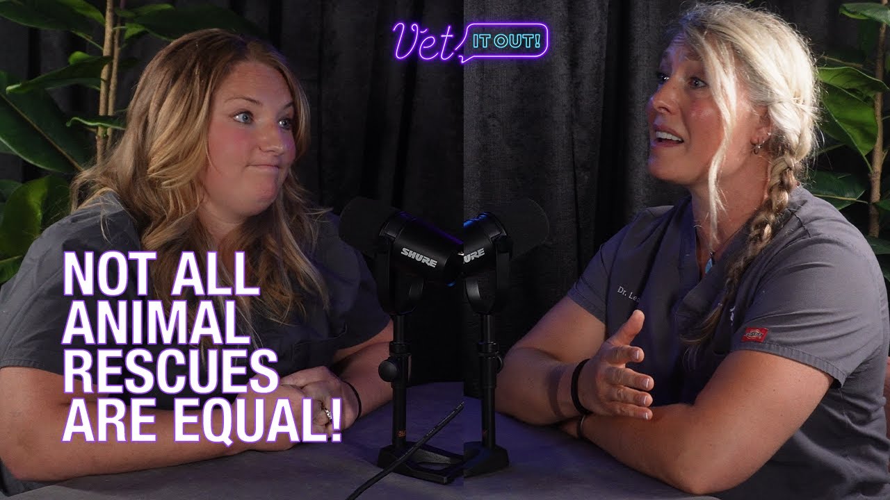 The Hidden Cost of Animal Rescue: Are You Truly Ready | Vet It Out PodCast With Dr. Leah
