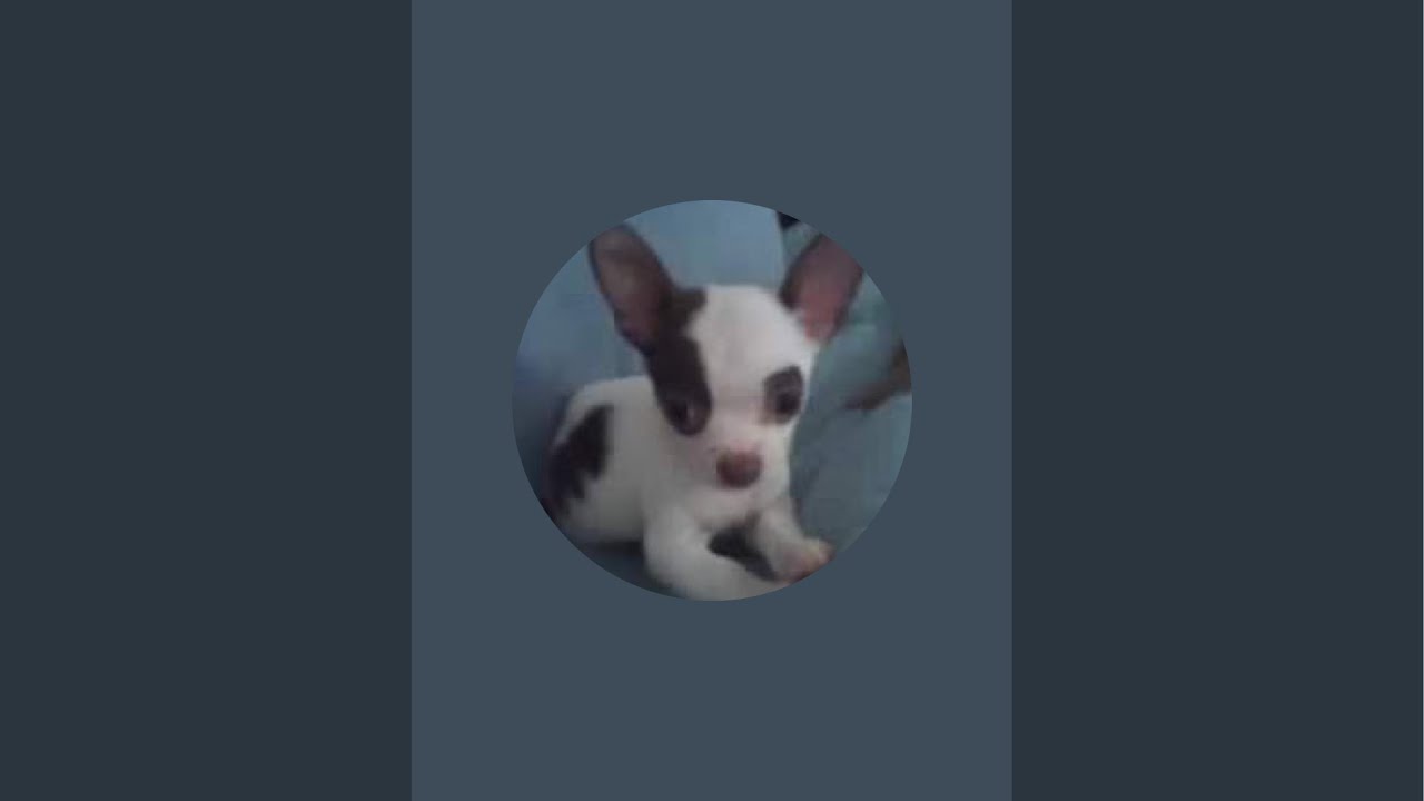 Ada Love Good morning