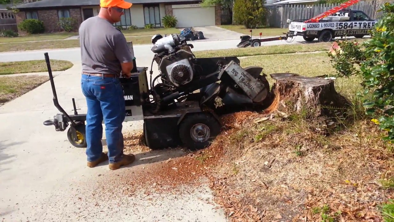 Roger Waldman  REVIEWS stump grinding  VERMEER 252 WITH 700 SERIES GREEN TEETH 904-584-TREE(8733)