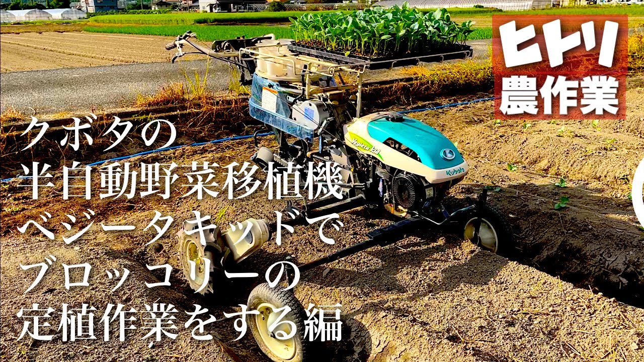 【ひとり農作業】クボタの半自動野菜移植機ベジータキッドでブロッコリーの定植作業をする編【新規就農10年目】