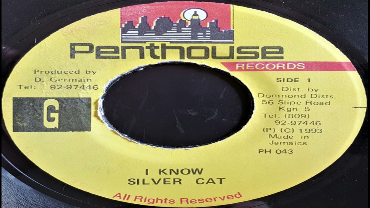 Silver Cat - I Know (I Know When)