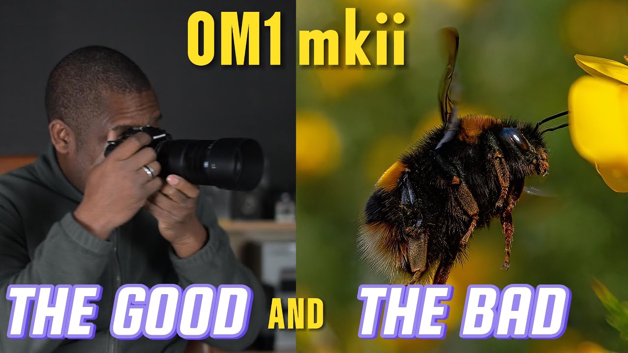 #OM1 mkii. The GOOD, the BAD and the PRETTY for #insect in #flight #macro #photography  #olympus