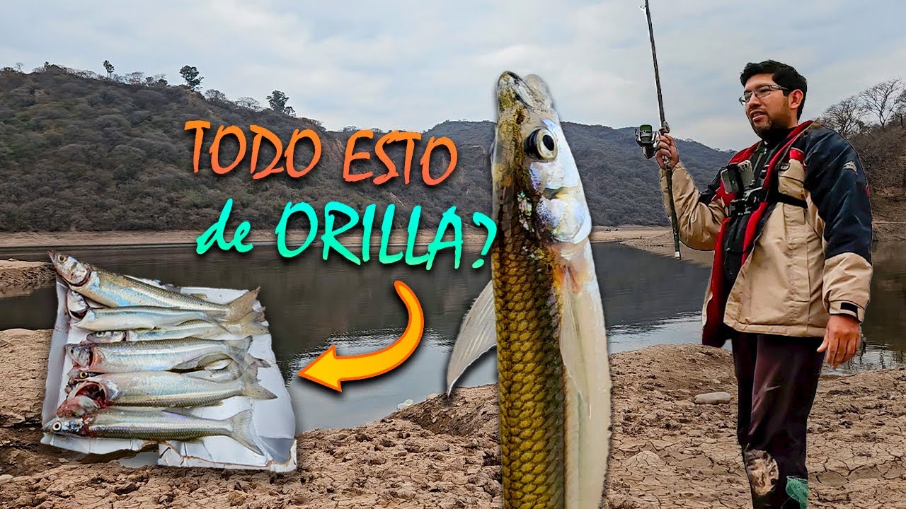 ASÍ SE PESCA PEJERREY EN JUJUY 🔥 el 