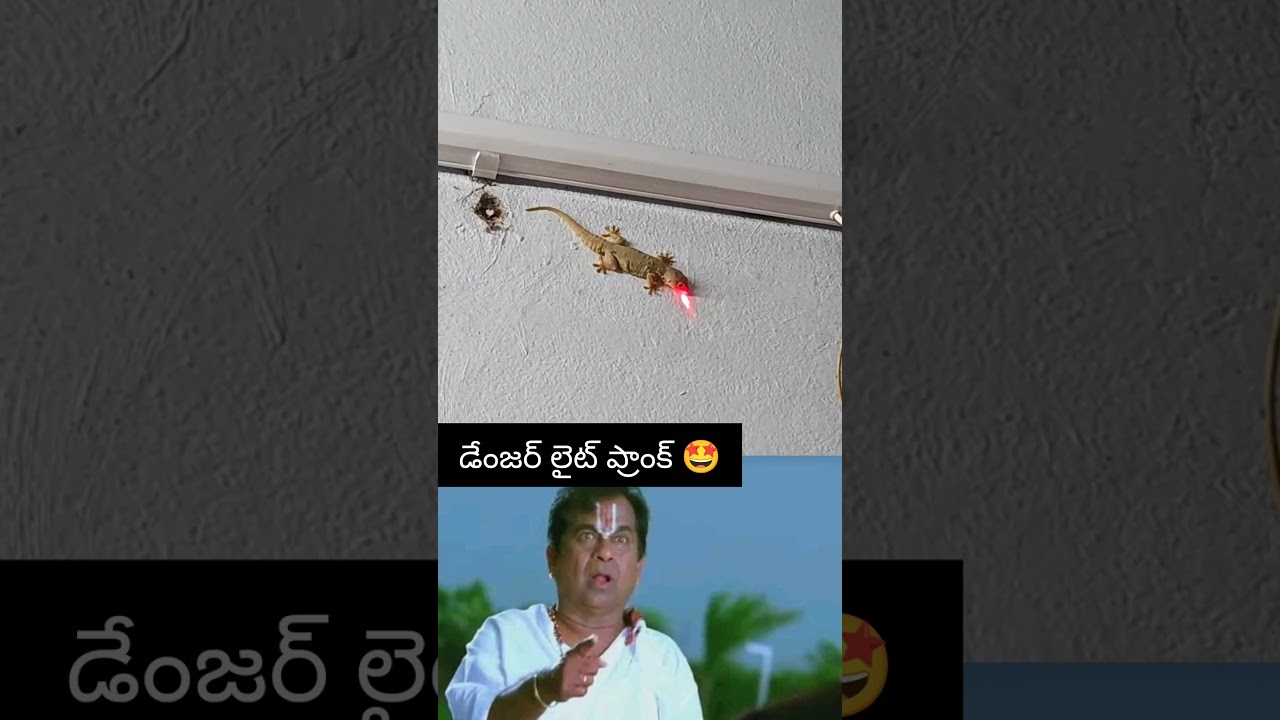 fun time with kids🤩#trending #kgf #viral #comedyfilms #prank