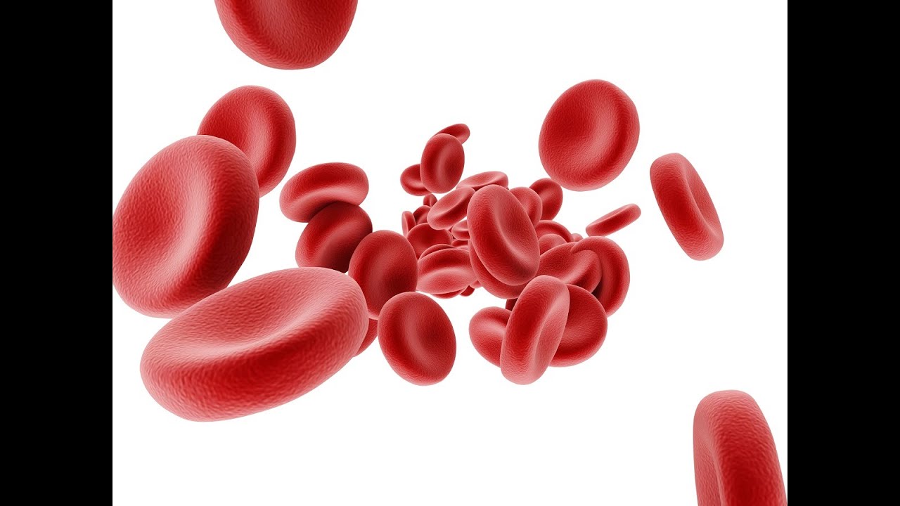 HOW Does Blood Flow Optimizer&trade; Work?