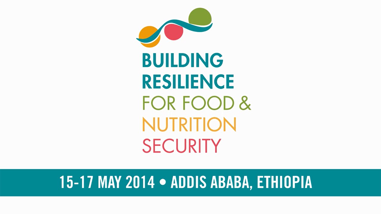 Highlights of the 2020 Resilience Conference