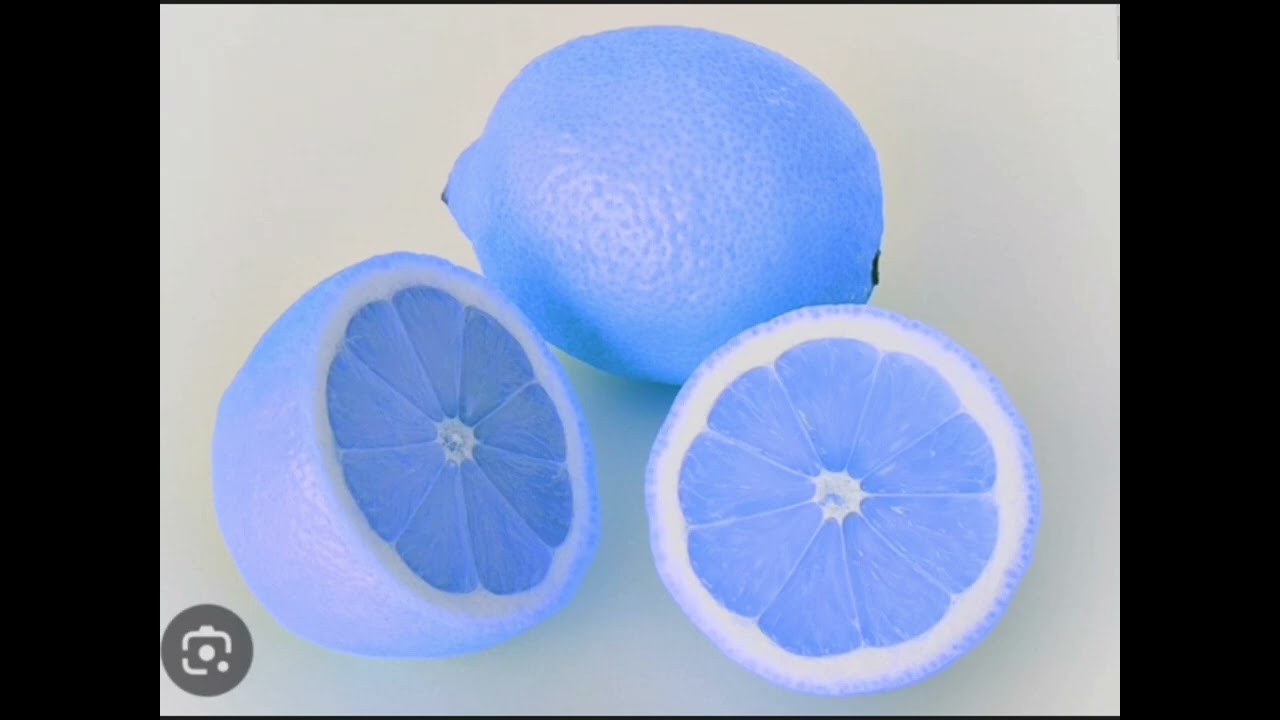 Baby Mozart Bard The Dragon Effects 