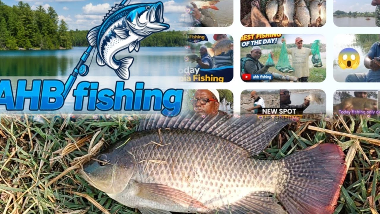 Сегодня лучшая рыбалка дня! Рыбалка AHB на YouTube 🎣 Большая, большая, большая рыба! #рыбалка #ти...