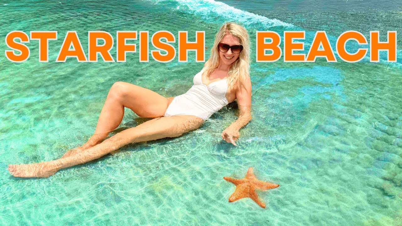 Starfish Beach Looks Like a Dream… But Here’s the Catch